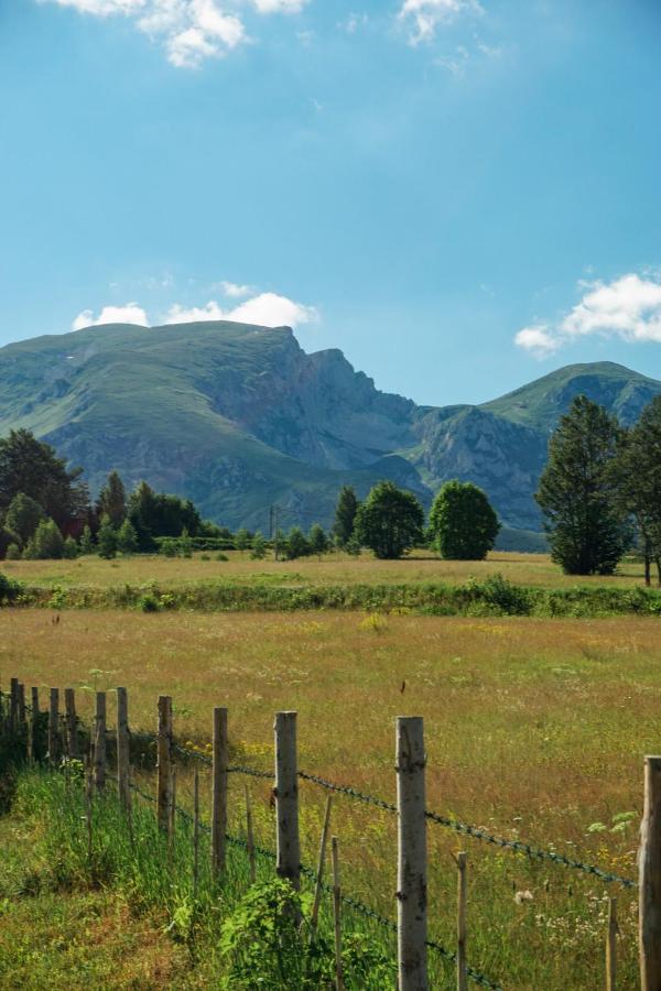 Vila Durmitor Nest Krstajic Žabljak Exteriér fotografie