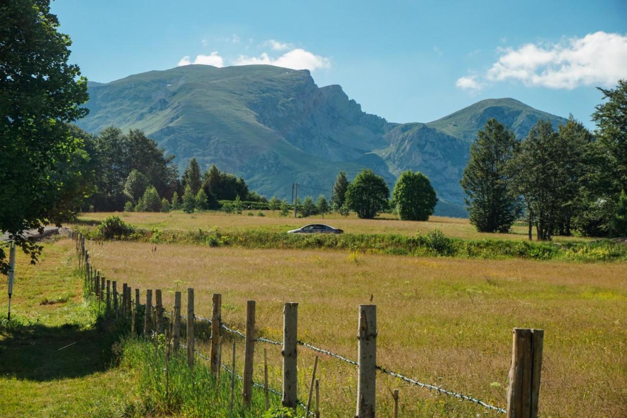 Vila Durmitor Nest Krstajic Žabljak Exteriér fotografie