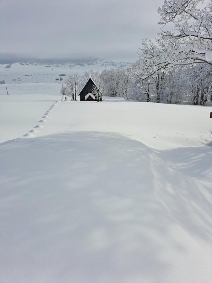 Vila Durmitor Nest Krstajic Žabljak Exteriér fotografie