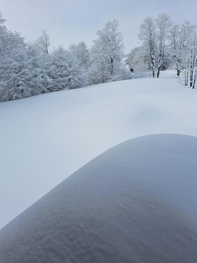 Vila Durmitor Nest Krstajic Žabljak Exteriér fotografie