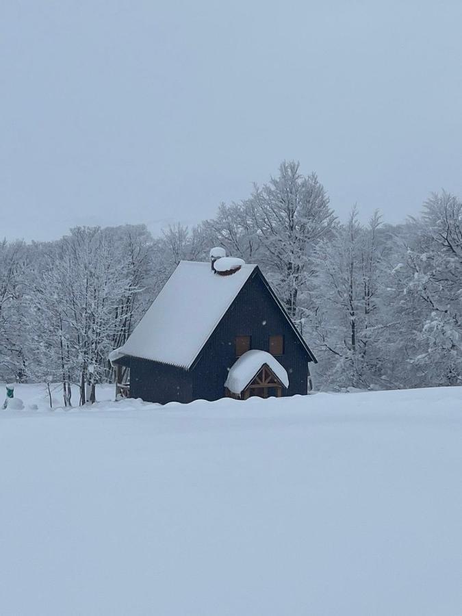 Vila Durmitor Nest Krstajic Žabljak Exteriér fotografie